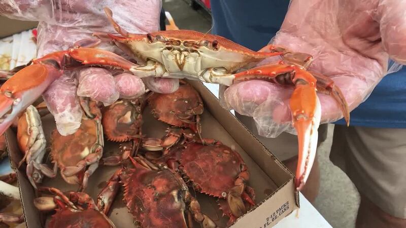 One winner will receive four tickets to the 41st Annual Biloxi Seafood Festival happening...