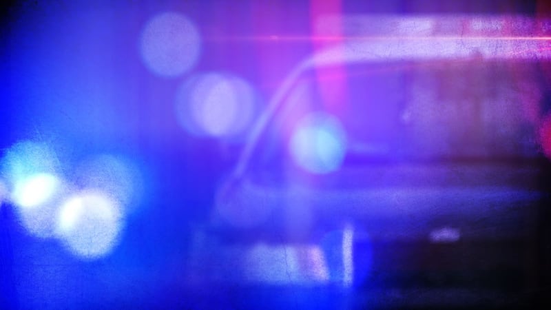 Authorities said the girl had walked away from her home with two family dogs.