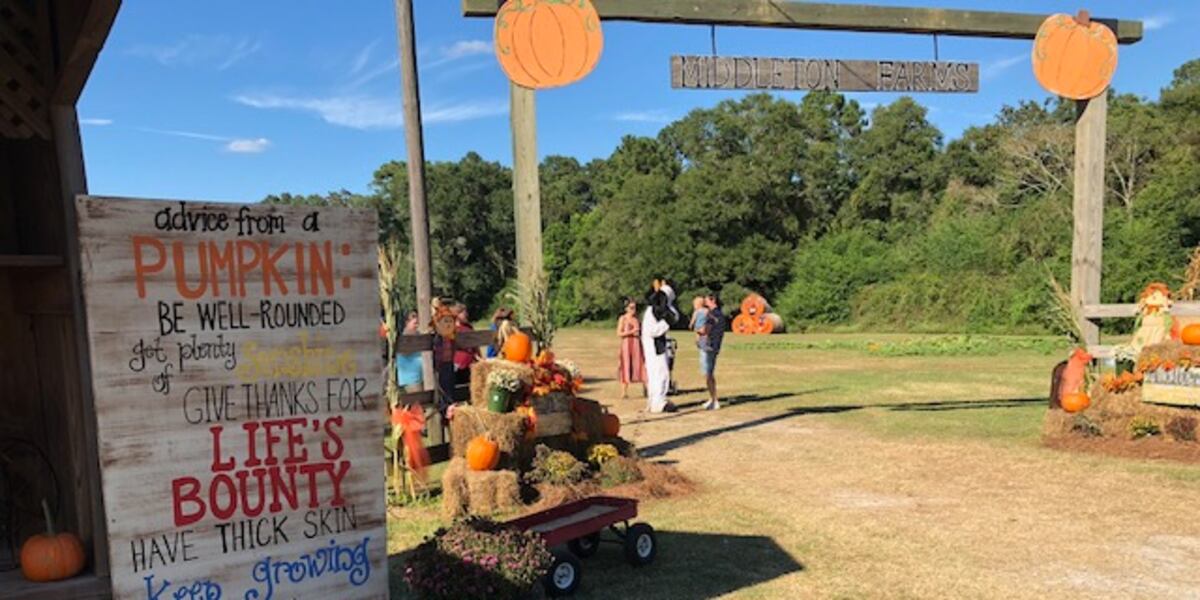Middleton Pumpkin Festival 2025