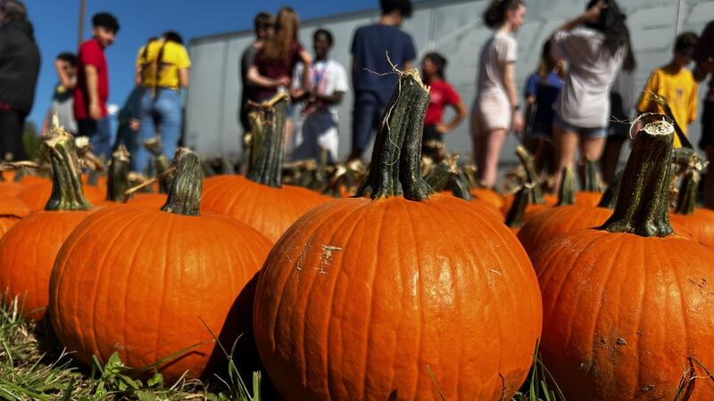 The Church of the Redeemer Pumpkin Patch is open Sunday from noon to 6 p.m., and...