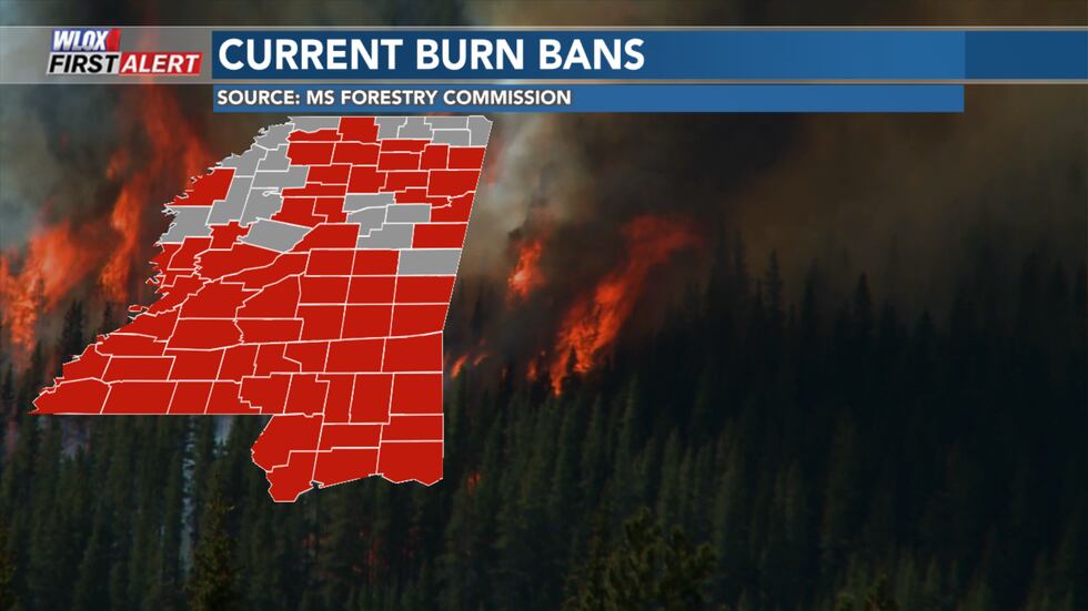Burn Ban MS