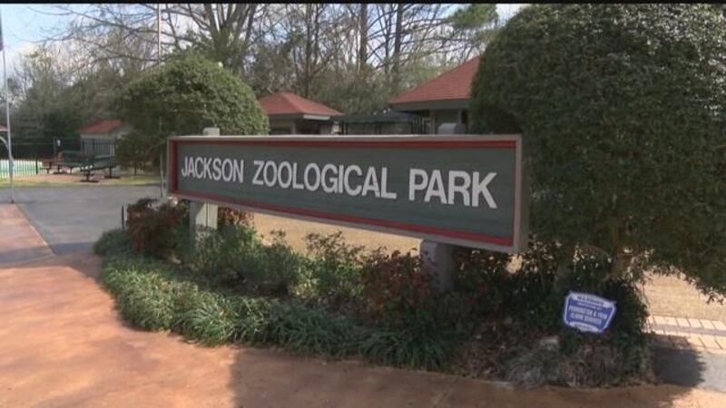 GF Default - Consider This: Jackson Zoo