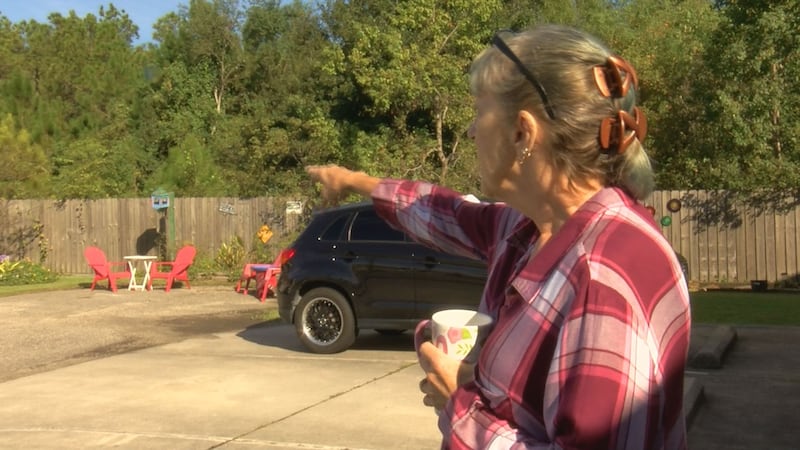 Collins has counted more than a dozen snakes near her rental.