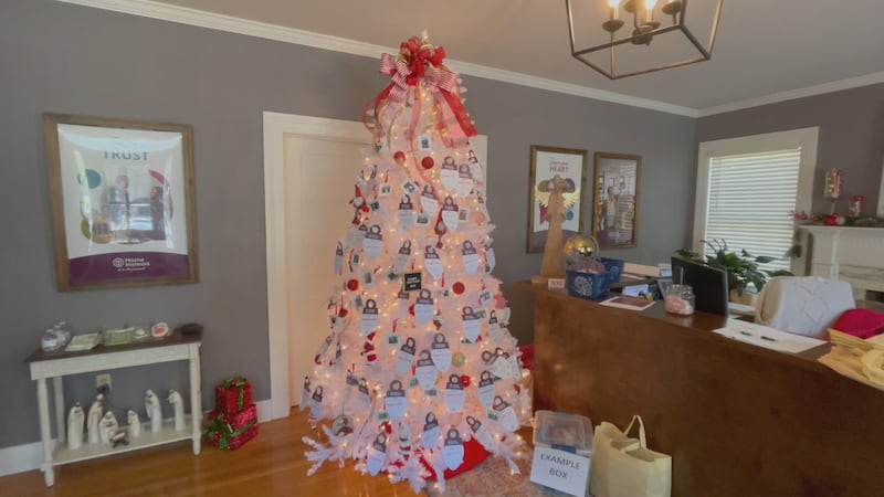 Be a Santa to a Senior brings together the entire community, with support from local...