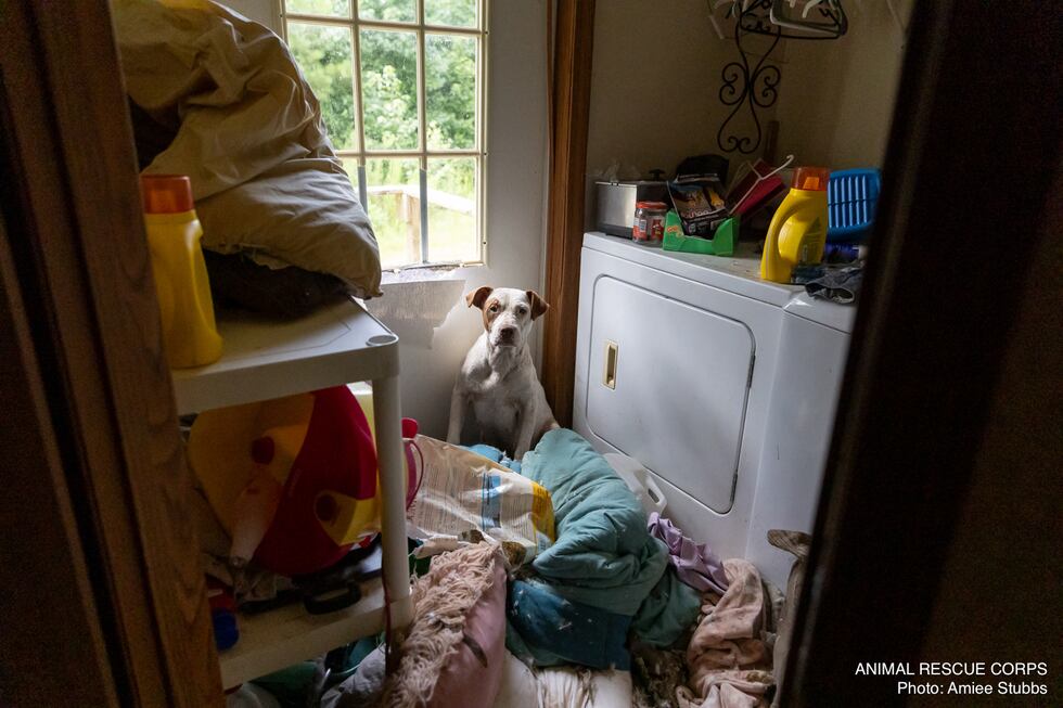 Animal Rescue Corps Newton, MS
