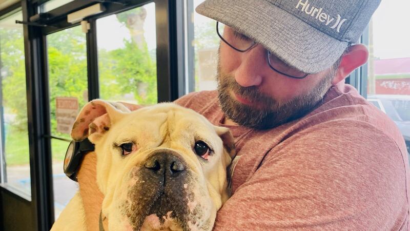 Oakley was reunited with his owner, Ryan Anthony, Friday morning at Sawmill Animal Hospital.