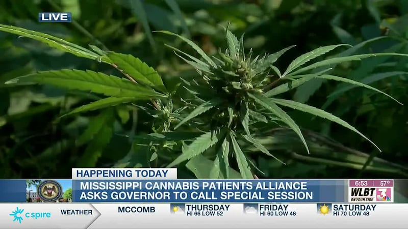 Cannabis Patients Alliance asks governor to call special session